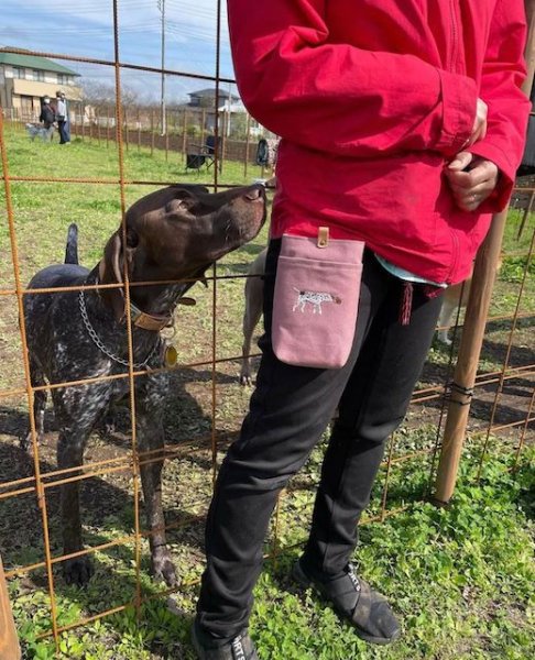 画像8: 犬猫刺繍スマホポーチ（各犬種）【R-11】 (8)
