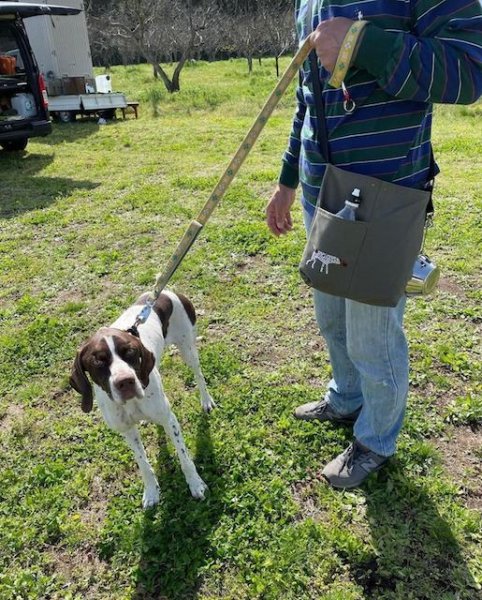 画像6: 犬猫刺繍サコッシュプラス（各犬種）【R-11】 (6)