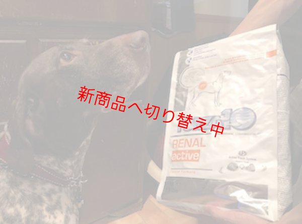 画像1: 腎臓ケア療法食ドライフード/FORZA10　リナールアクティブ腎臓ケア　8kg (1)
