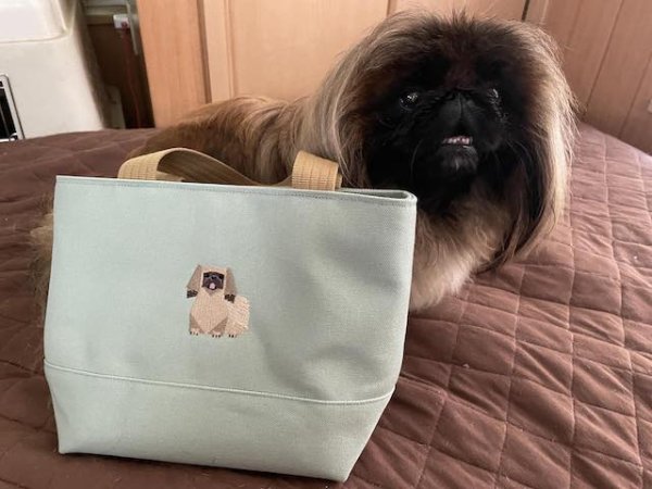 画像9: 犬猫刺繍 Everydayトート＜各犬種＞【R-11】 (9)