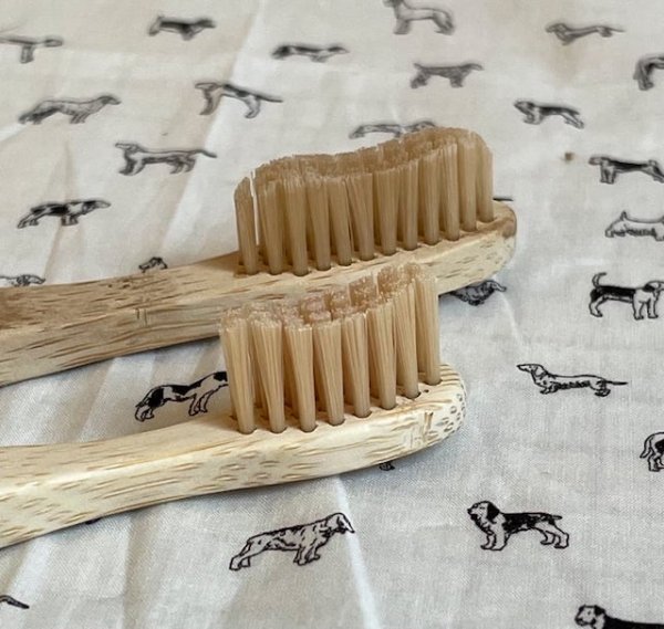 画像4: バンブー歯ブラシ 2種類【ナパーニ】 (4)