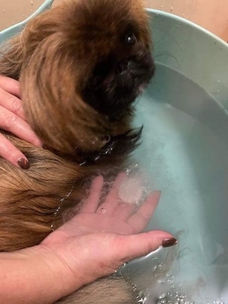 画像3: 薬用メディケイティッド・ホットタブ小袋（30タブレット）＜医薬部外品＞ (3)