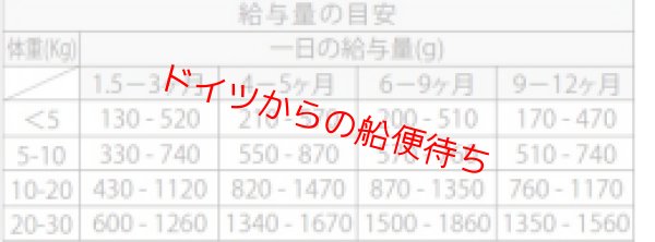 画像3: パピー 犬【Terra Canis】 (3)