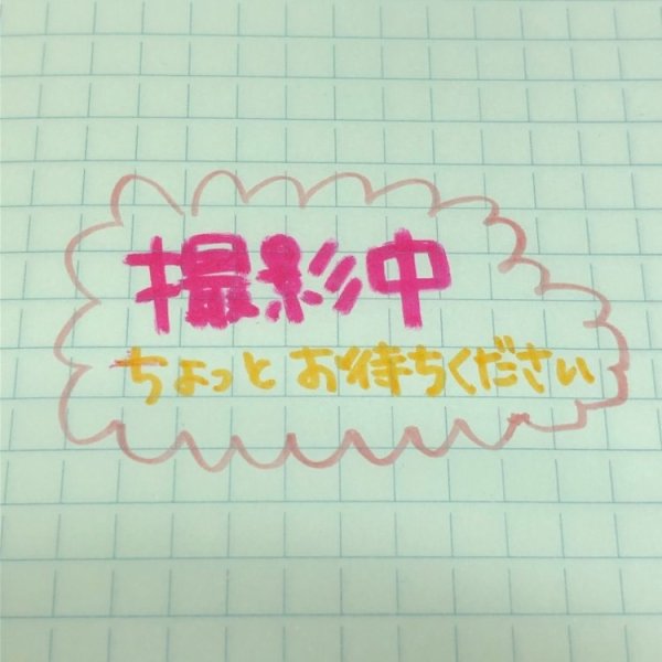 画像1: プルモ アルファ（呼吸器、免疫）【アルファヴェット社】 (1)