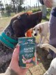 画像1: ネイチャーハウンド　犬用【Terra Canis】3種 (1)