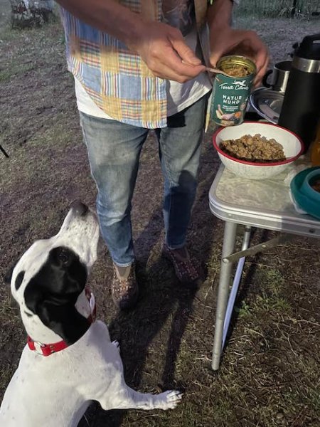 画像6: ネイチャーハウンド　犬用【Terra Canis】3種 (6)