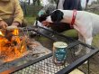 画像7: ネイチャーハウンド　犬用【Terra Canis】3種 (7)