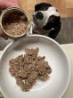 画像2: フラワーメニュー　犬【Terra Canis】 (2)