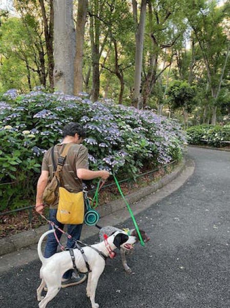画像7: 犬猫刺繍サコッシュプラス（各犬種）【R-11】 (7)