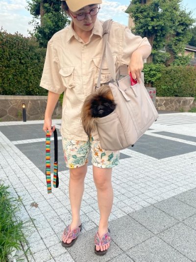 画像1: Carrier Bag（キャリーバッグ）2色　【PALOPA】
