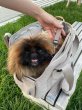 画像1: Carrier Bag（キャリーバッグ）2色　【PALOPA】 (1)