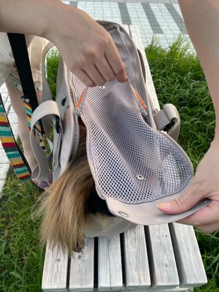 画像5: Carrier Bag（キャリーバッグ）2色　【PALOPA】 (5)