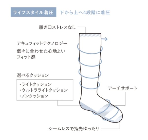画像4: ライフスタイル着圧靴下「BEST IN SHOW」 Ladies 2色 【Sockwell】 (4)