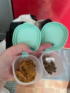 スナックタブ（小分け用タッパー・3コ入り）　3色　【b.box】