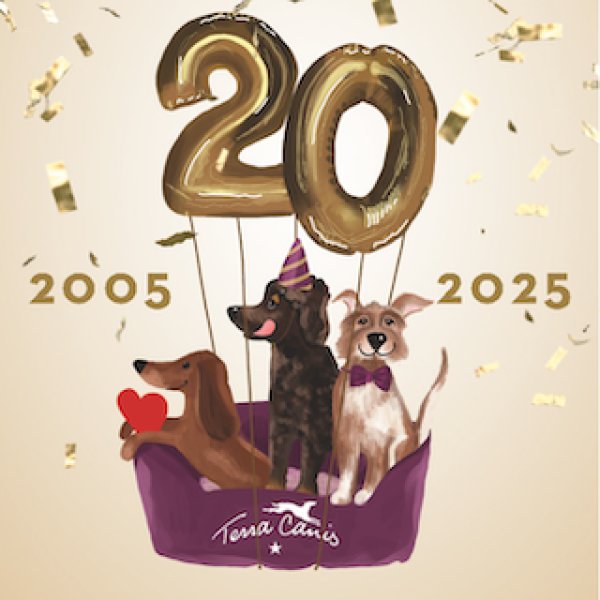 画像3: ★限定★テラカニス20周年2025限定缶セレブレーション祝祭缶犬用【Terra Canis】 (3)