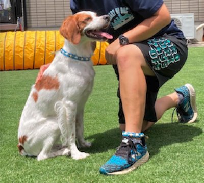 画像2: バグオフオイル 5ml【ナパーニ社】