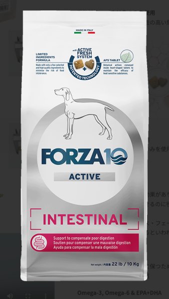 画像1: 胃腸ケア療法食ドライフード　インテスティナル アクティブ（胃腸・中粒）　10kg　【FORZA10】 (1)