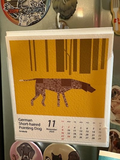 画像2: dogs calendar 2026　【バドバドオリジナル】