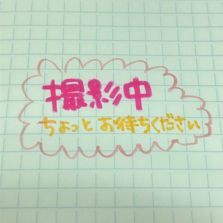 プルモ アルファ（呼吸器、免疫）【アルファヴェット社】